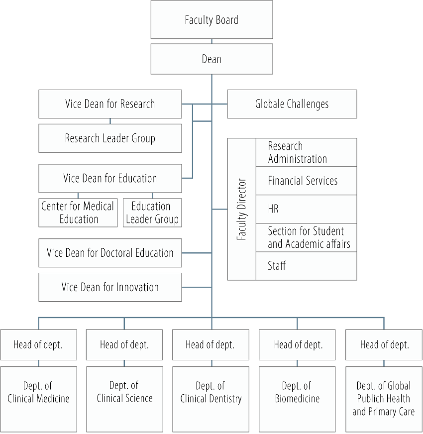 Organisational chart for the Faculty of Medicine