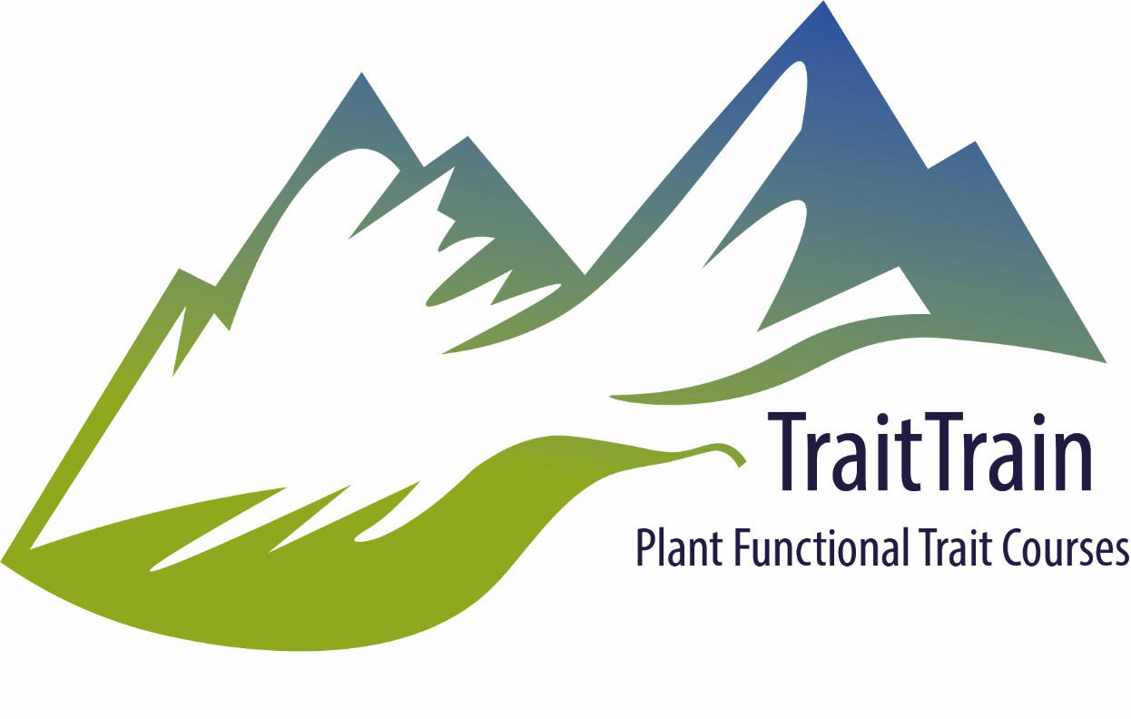 The TraitTrain logo of a stylised leaf leading up a mountain