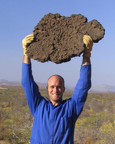 Brian Chase's picture