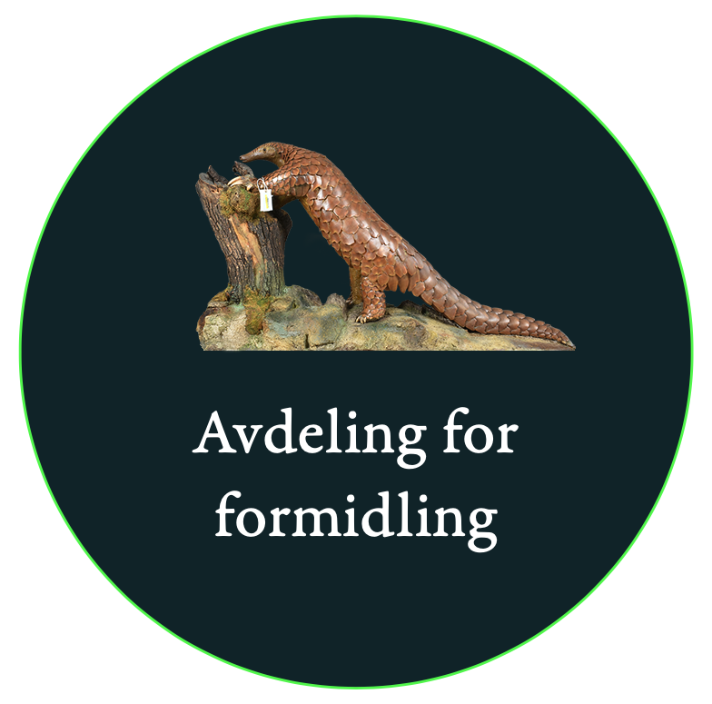 Avdeling for formidling