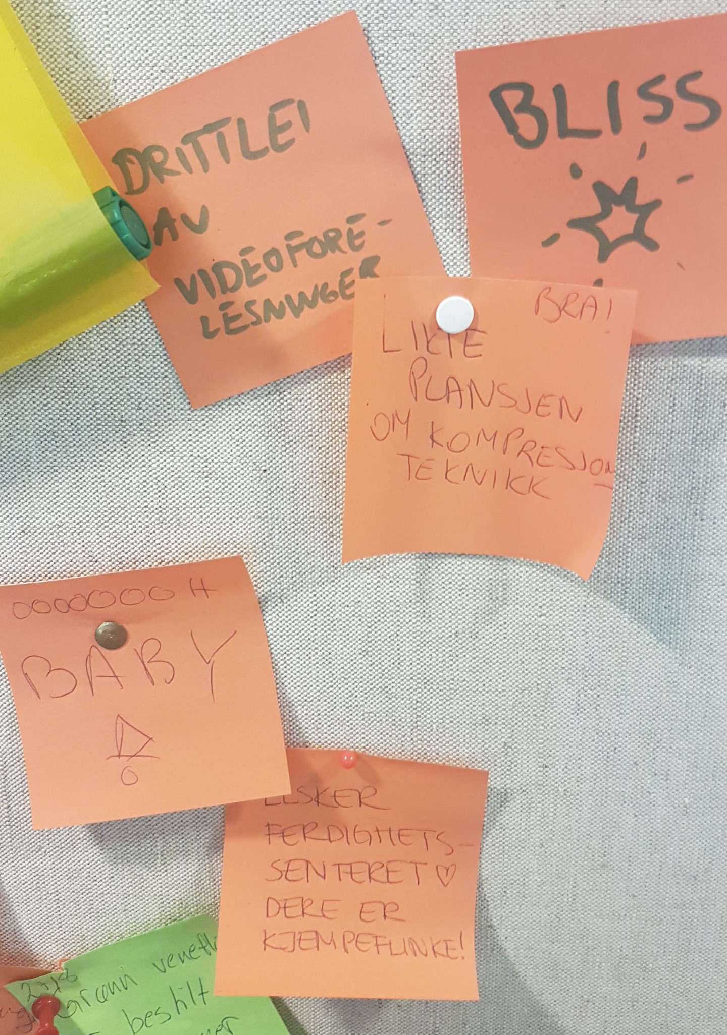 Studiekvardag Ved Det Medisinske Fakultet Det Medisinske Fakultet UiB