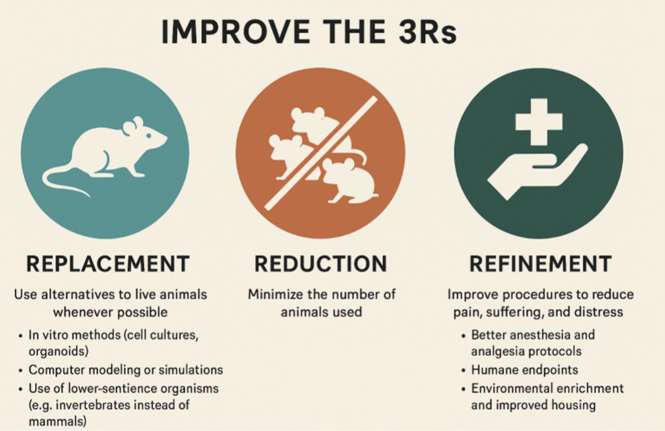3R - Replacement, Reduction and Refinement of animal experiments | The ...