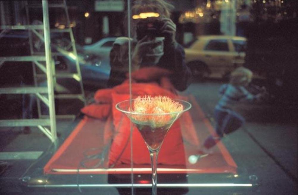 Science for Policy: Post-Normal Science in Practice | Centre for the ...