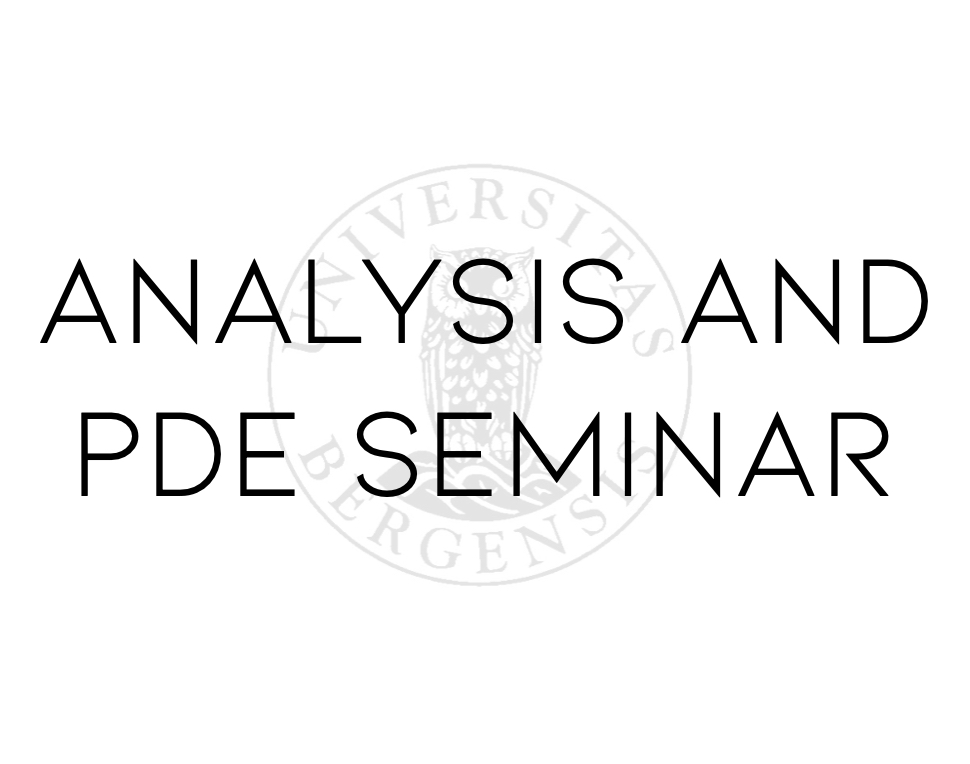 Next Analysis and PDE seminar | Analysis and PDE | UiB