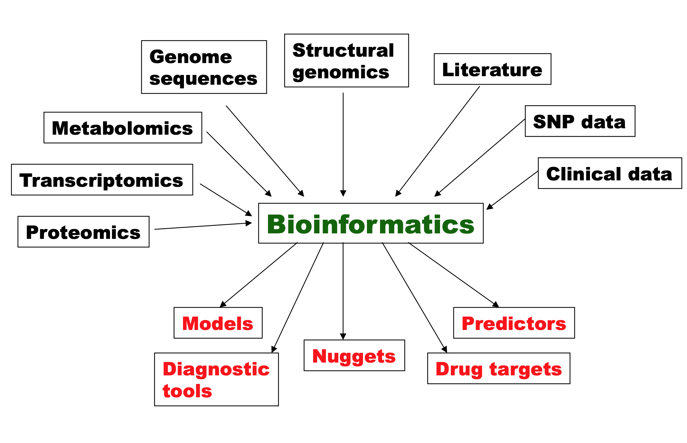 bioinformatics project topics list