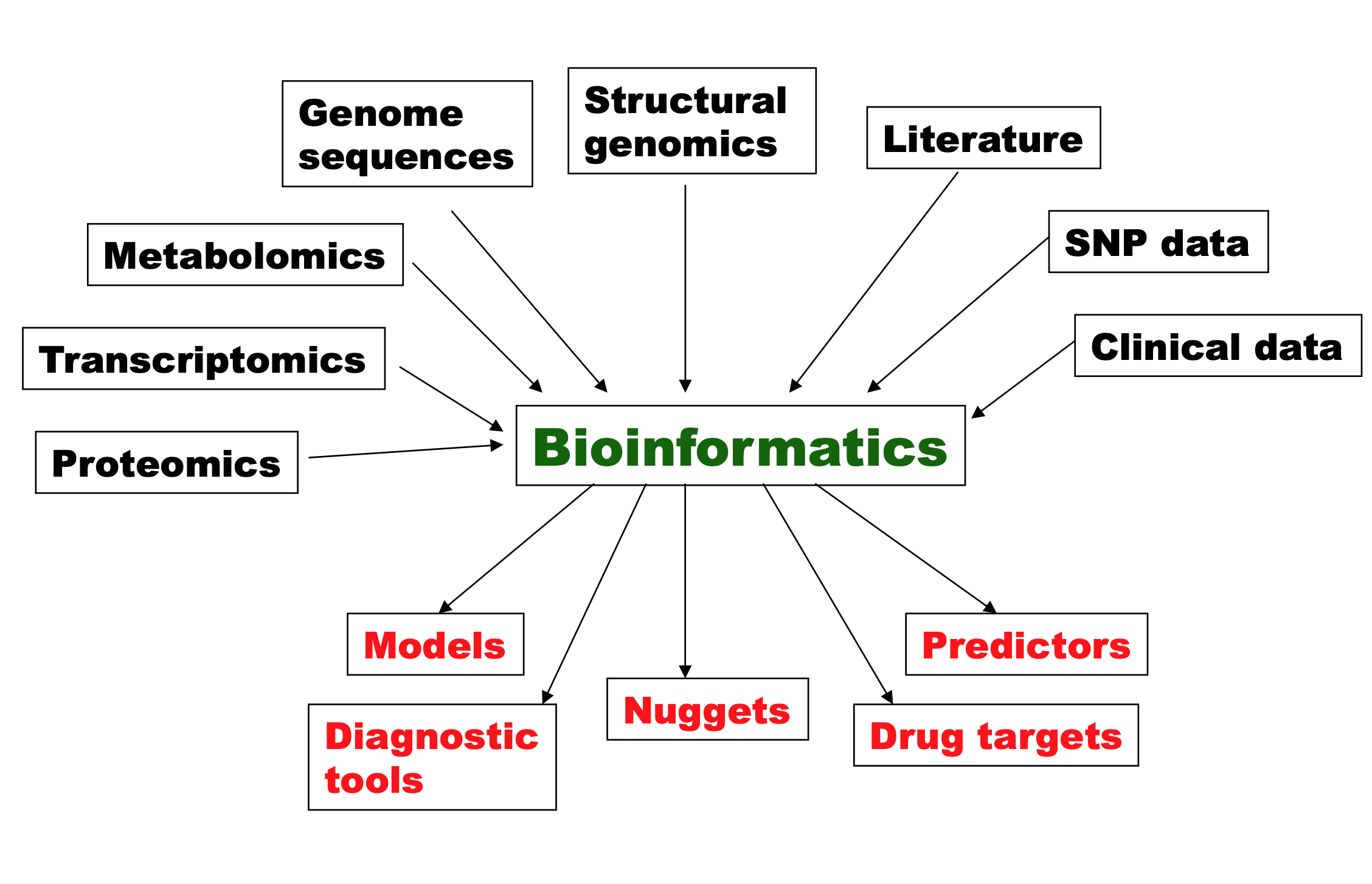 scope and research areas of bioinformatics