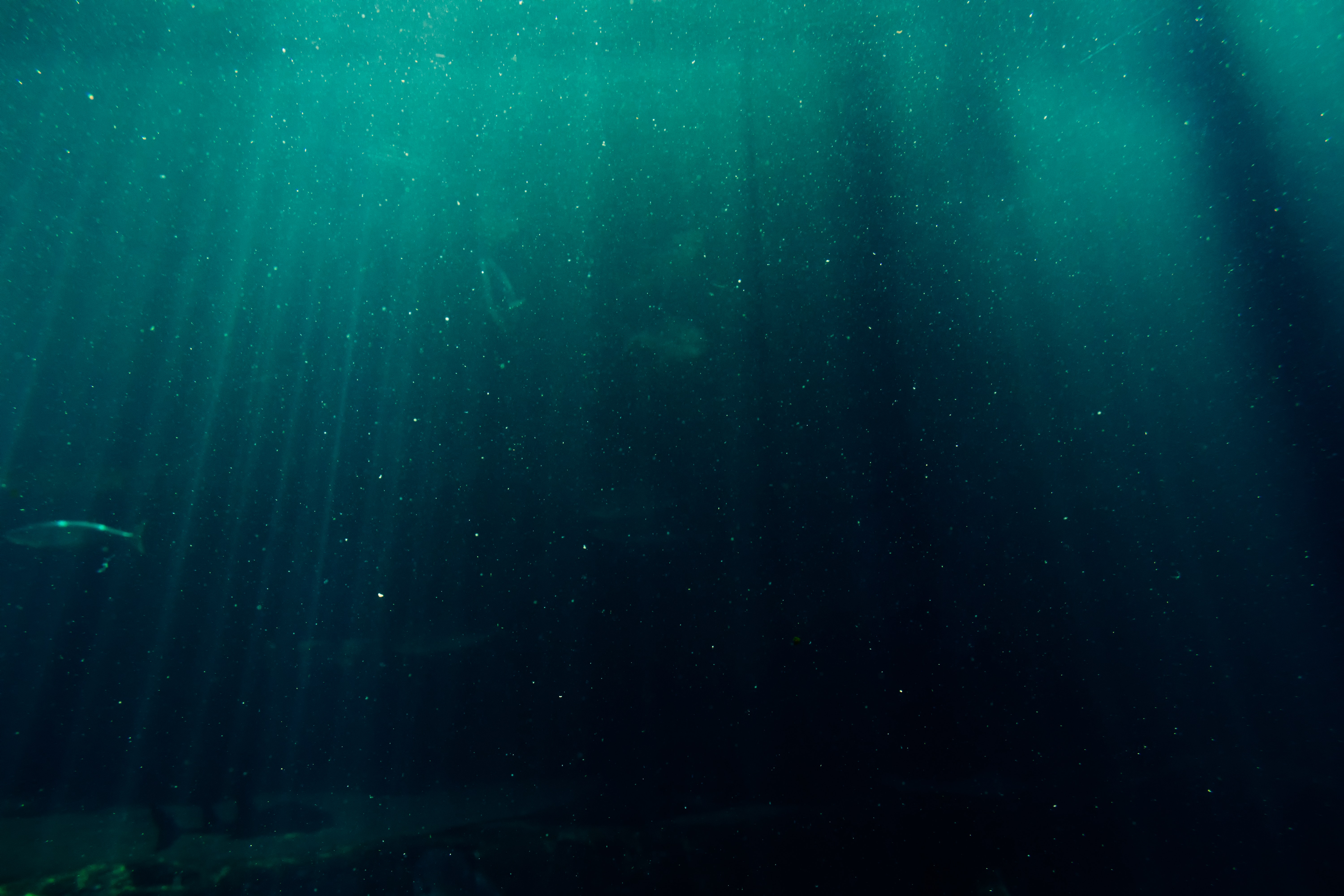 Мутный цвет воды. Океаны. Глубина. Морские глубины. Океан под водой. Темное дно океана.
