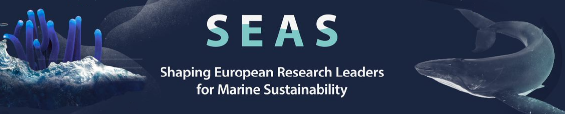 The SEAS programme's goals and commitments | Shaping European Research ...