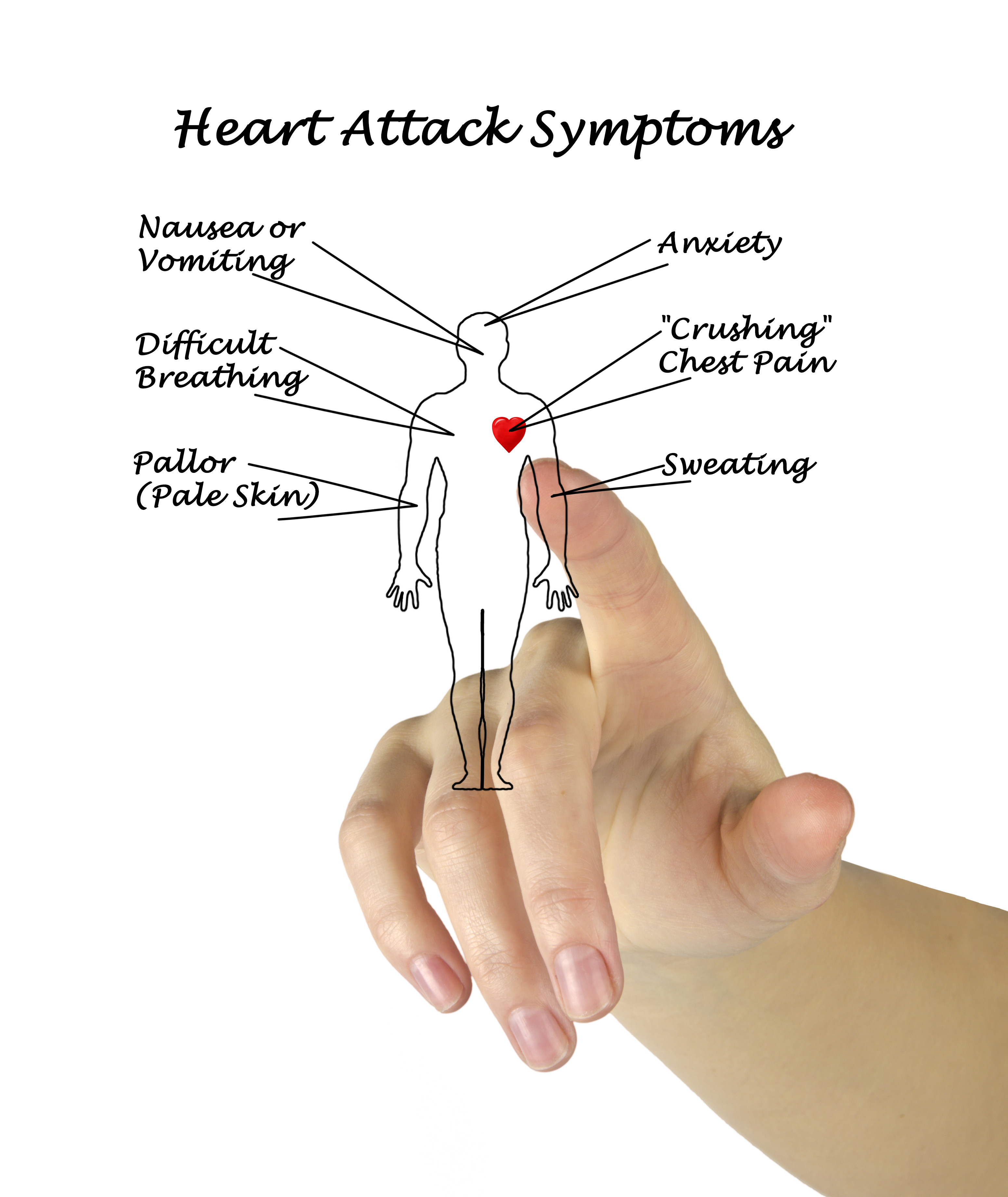Treatment after a heart attack varies with educational level