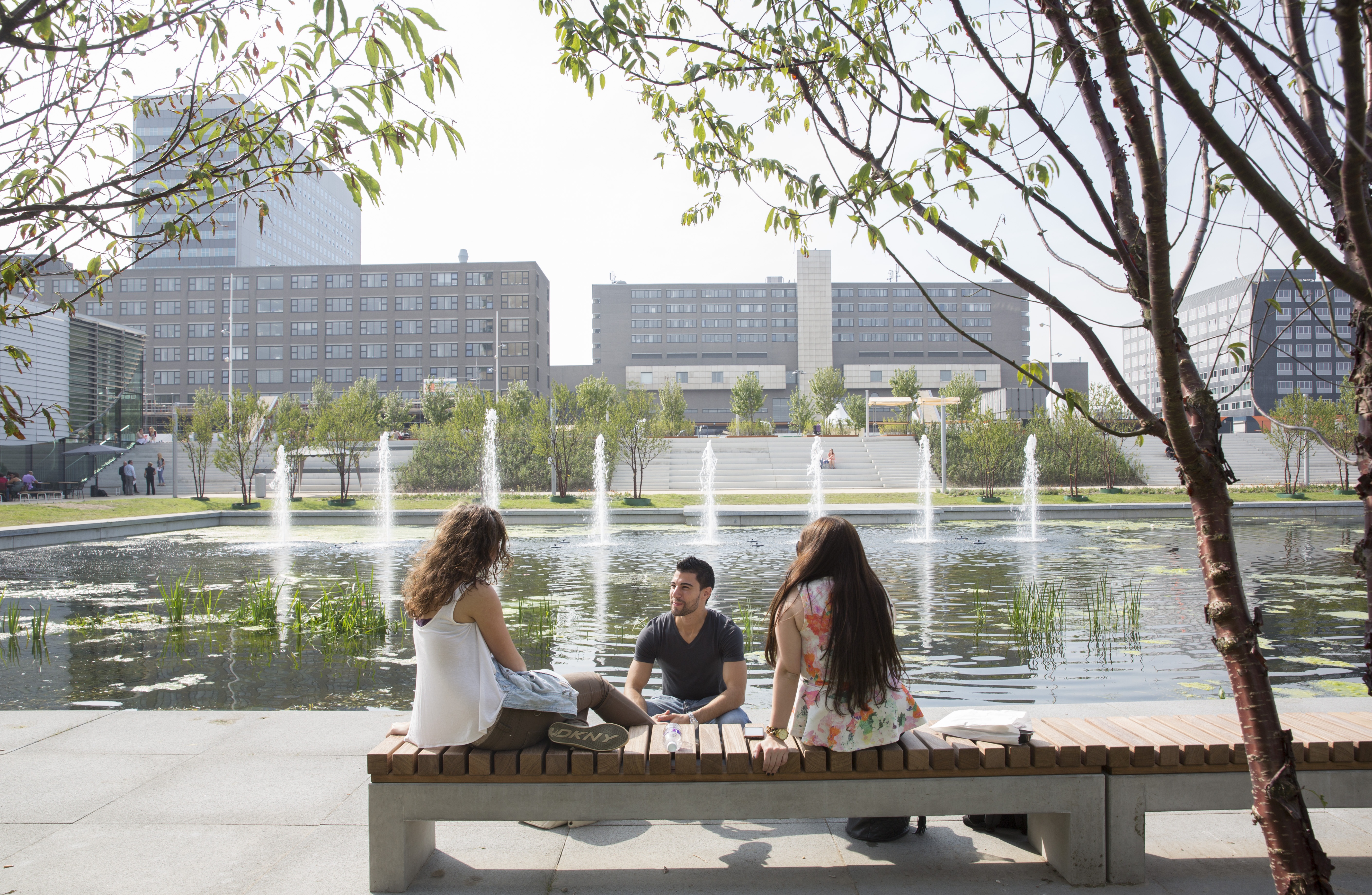 Erasmus University Rotterdam And Department Of Archaeology History 