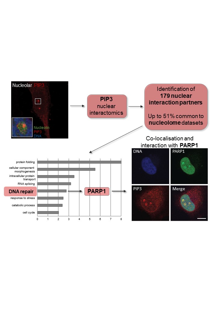 Link to Our new article in Molecular & Cellular Proteomics
