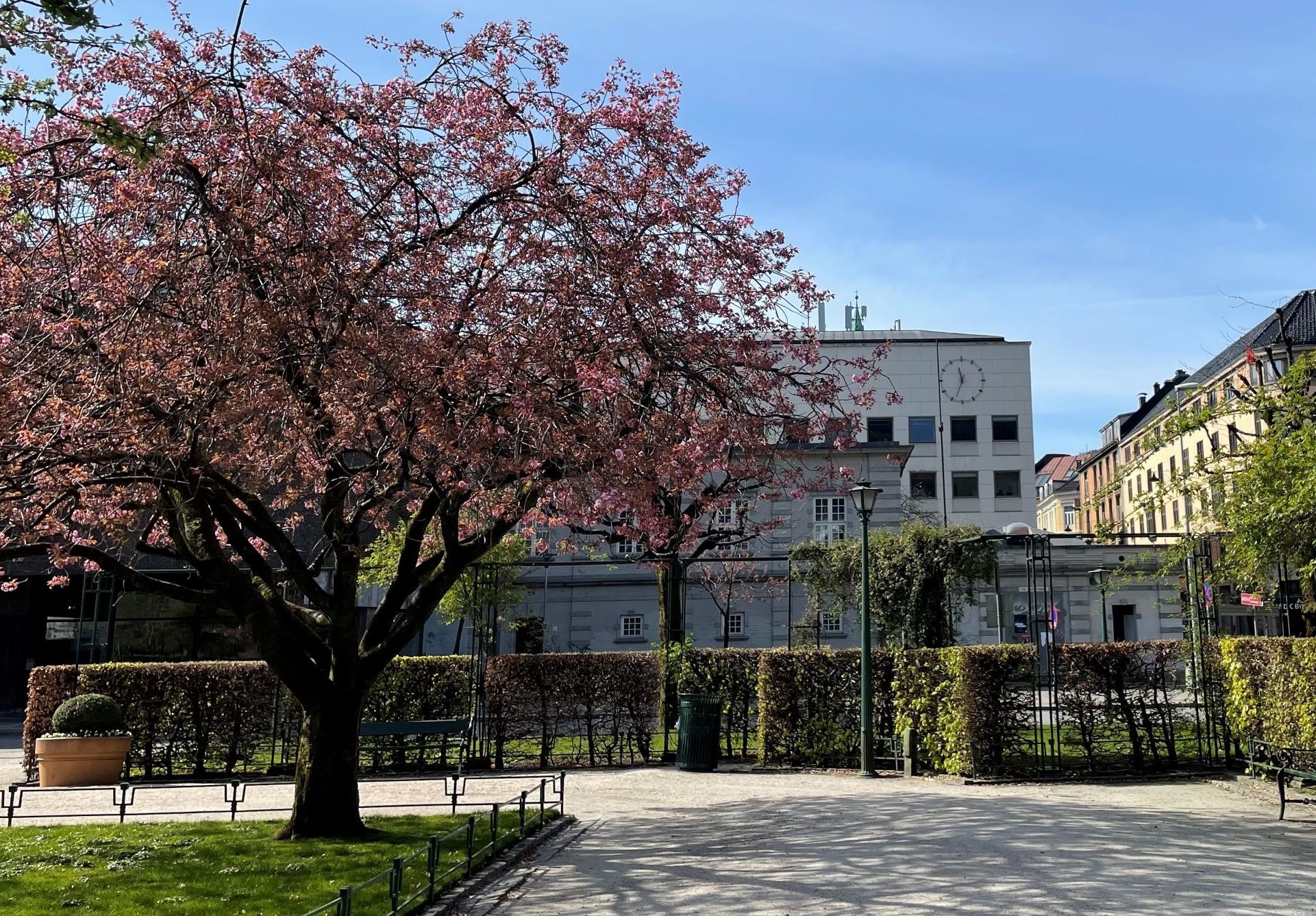 Institutt For Samfunnspsykologi Universitetet I Bergen