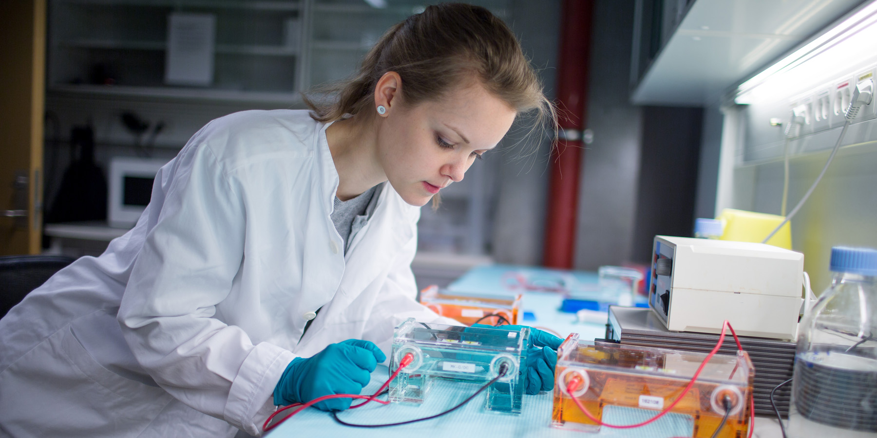 Faculty of Medicine | University of Bergen