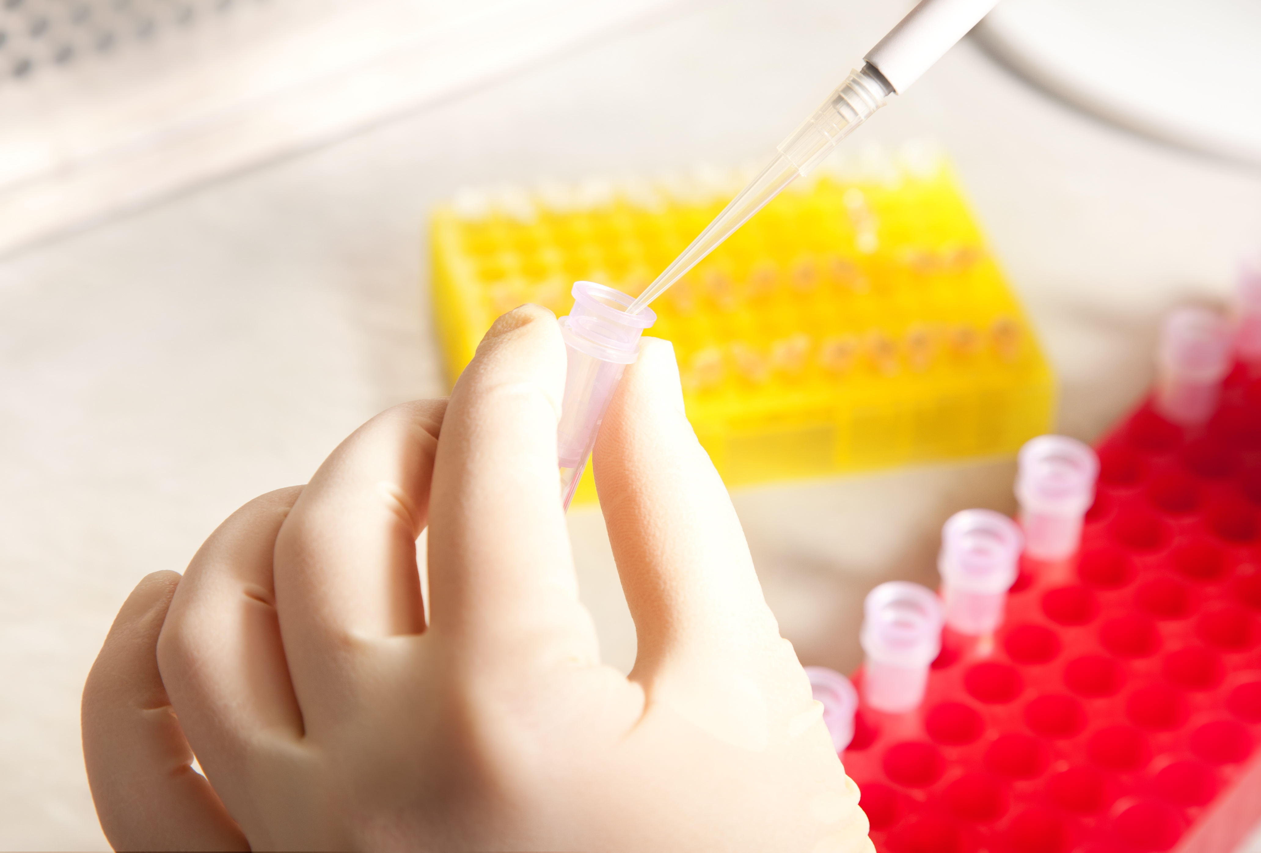 Link to Molekylærbiologi