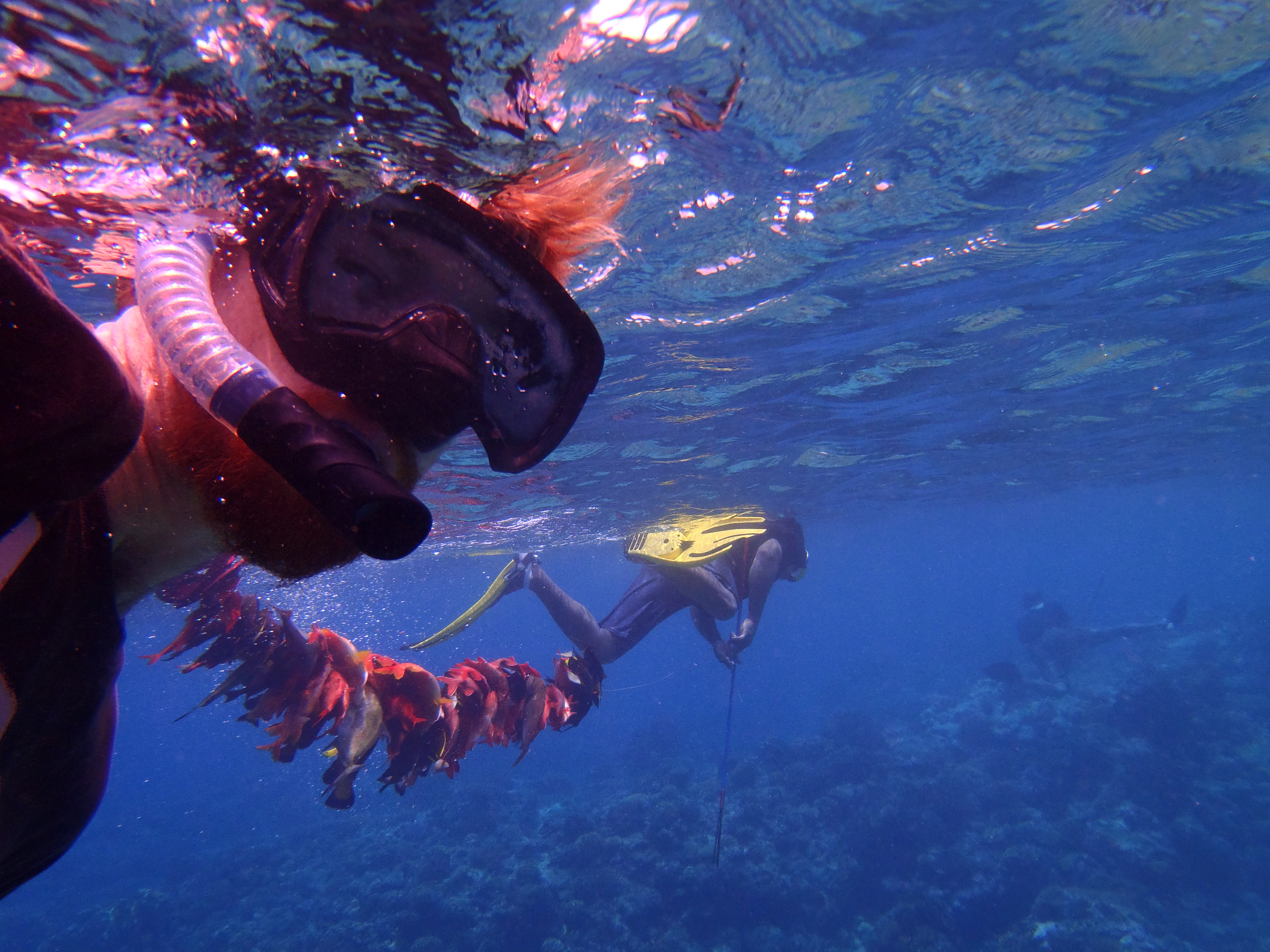 The Colonial Power Wanted to Be Culturally Sensitive – They ended up creating more inequality (30.10.2025)