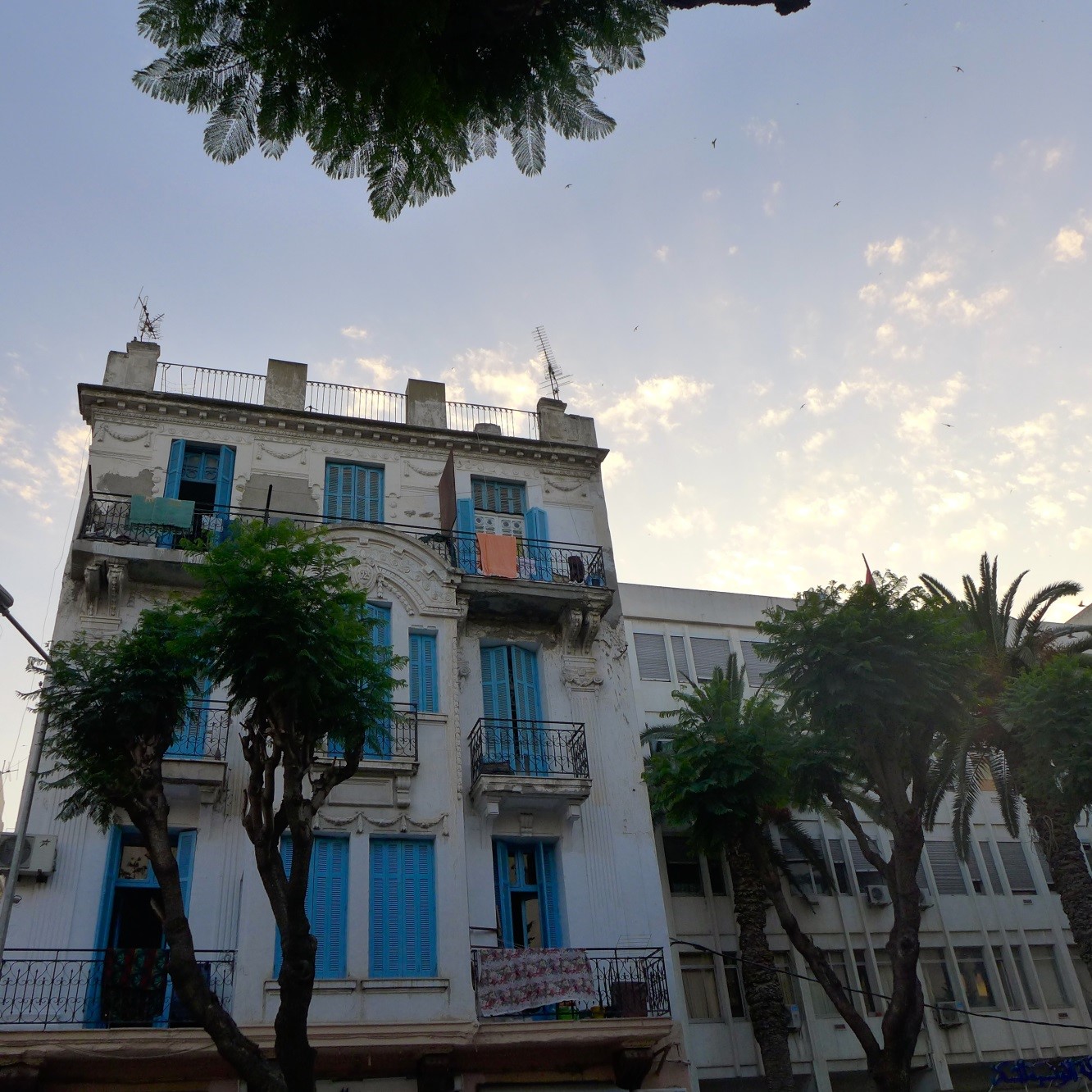 Université Tunis El Manar og Institutt for fremmedspråk (ERASMUS+ICM