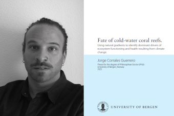 Jorge Corrales Guerrero