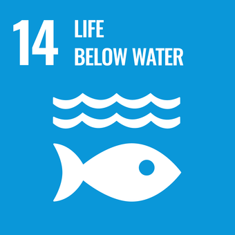 SDG 14 logo