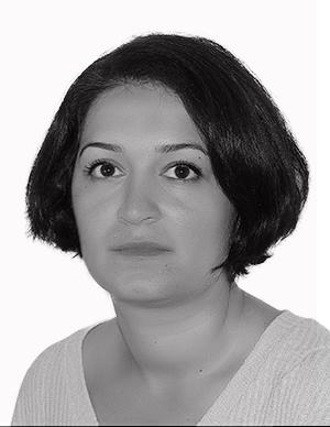 Gilda Seddighi, Skal ikke brukes til annet enn doktorgradspressemelding