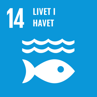 SDG 14 logo