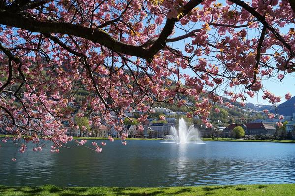 Lille Lungegårdsvann