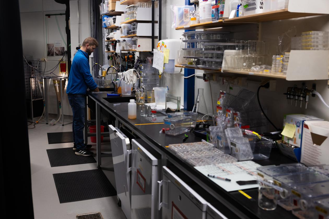 Brandon Mellin in the Cnidaria Facility