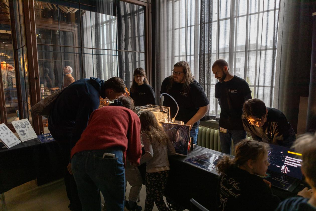 Resarchers presented ctenophores during the museum open day