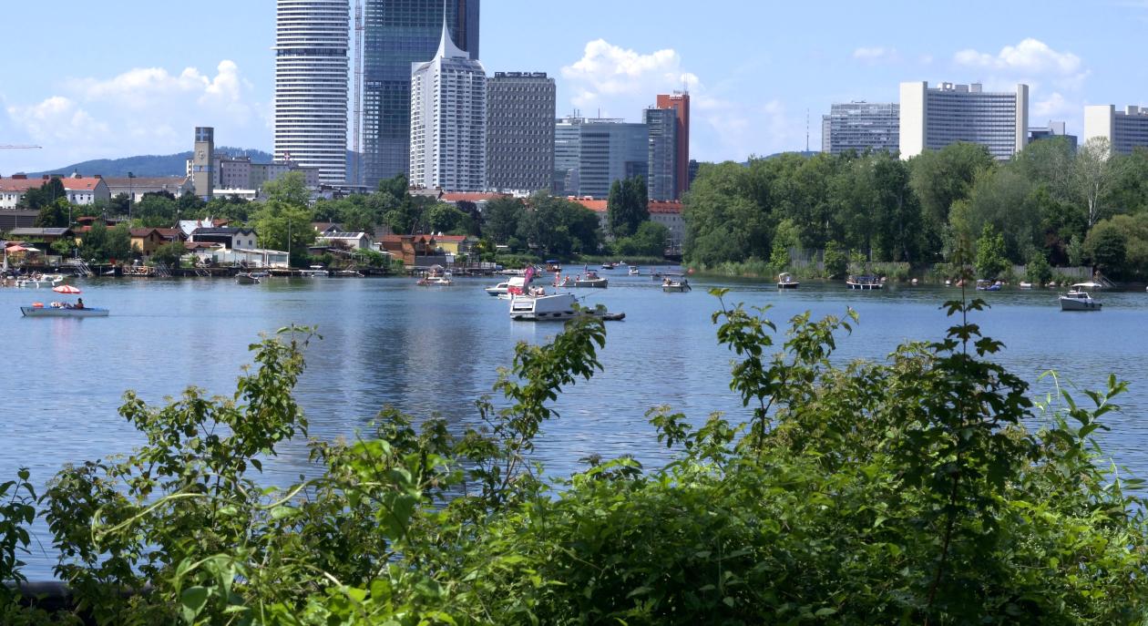 Bilde fra innsjø og grøntområde omgitt av skyskrapere.