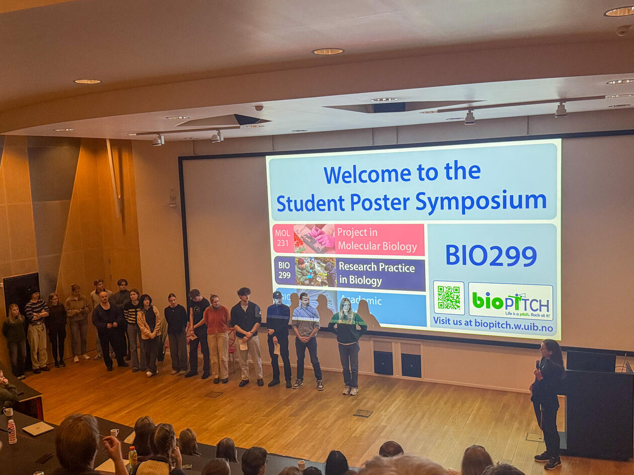 Studentpostersymposiet 2024 i Nash auditorium ved Vilvite.