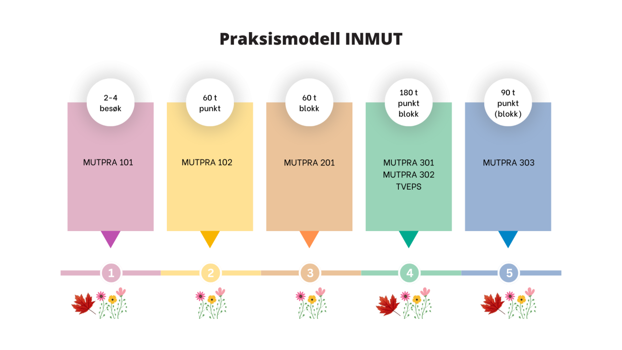Skjematisk oversikt over praksisemnene i studiet, fordelt på studieår.