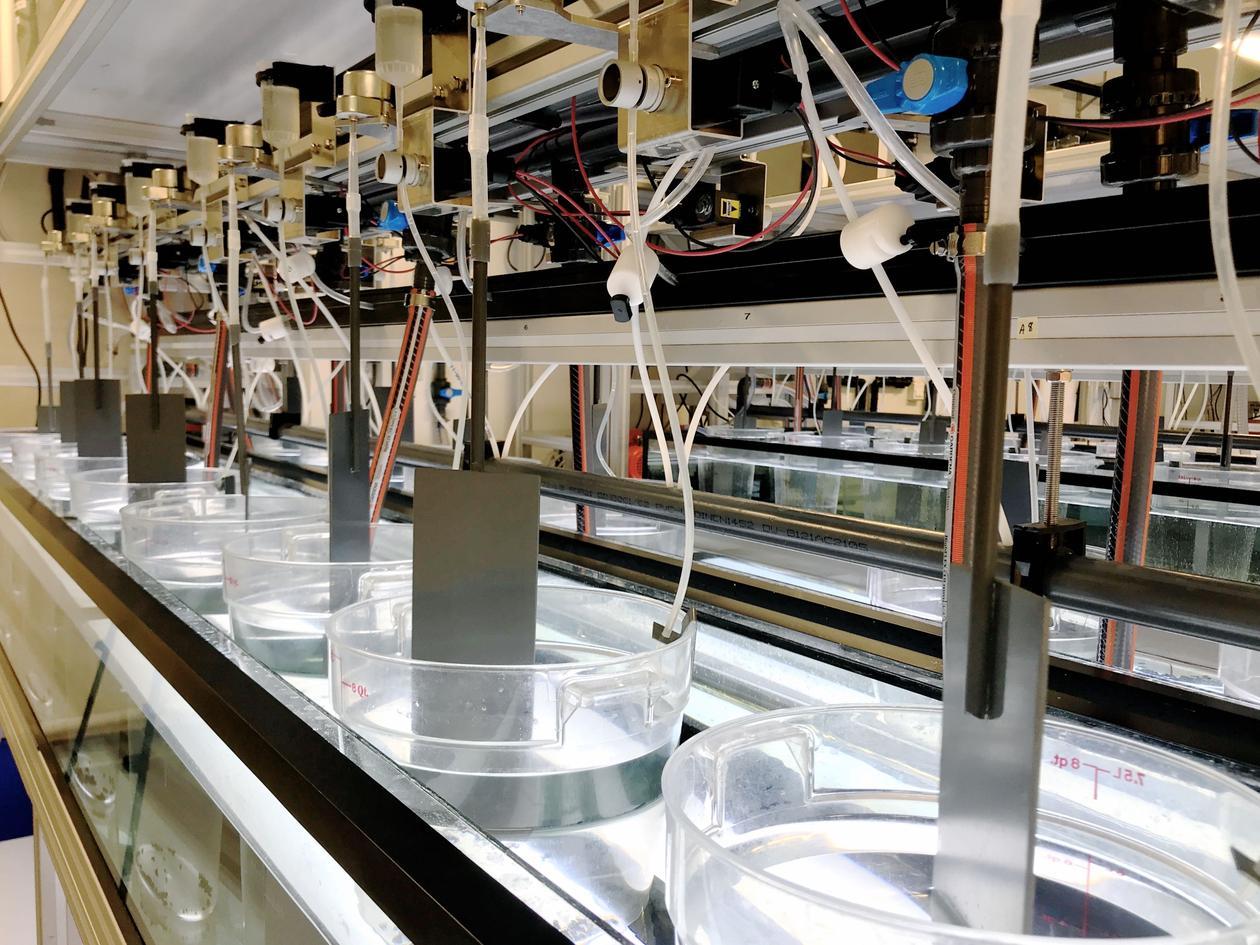 Appendicularian facility