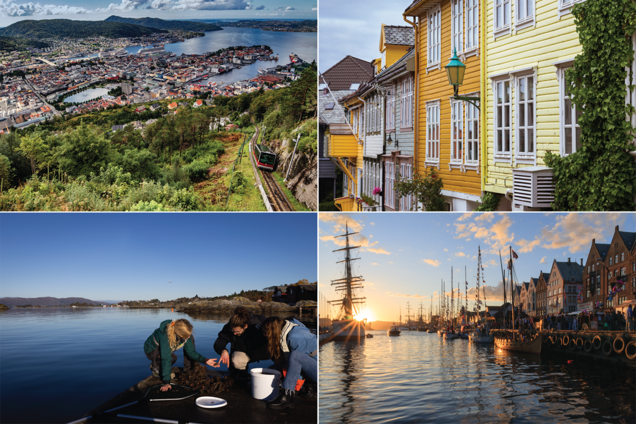 Collage of pictures of Bergen
