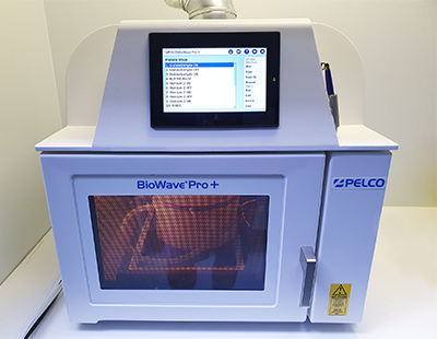 Biowave tissue processor