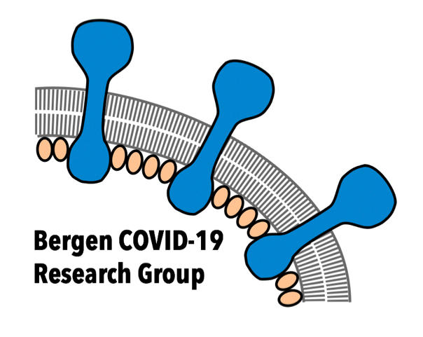 Bergen Covid-19 Research Group 