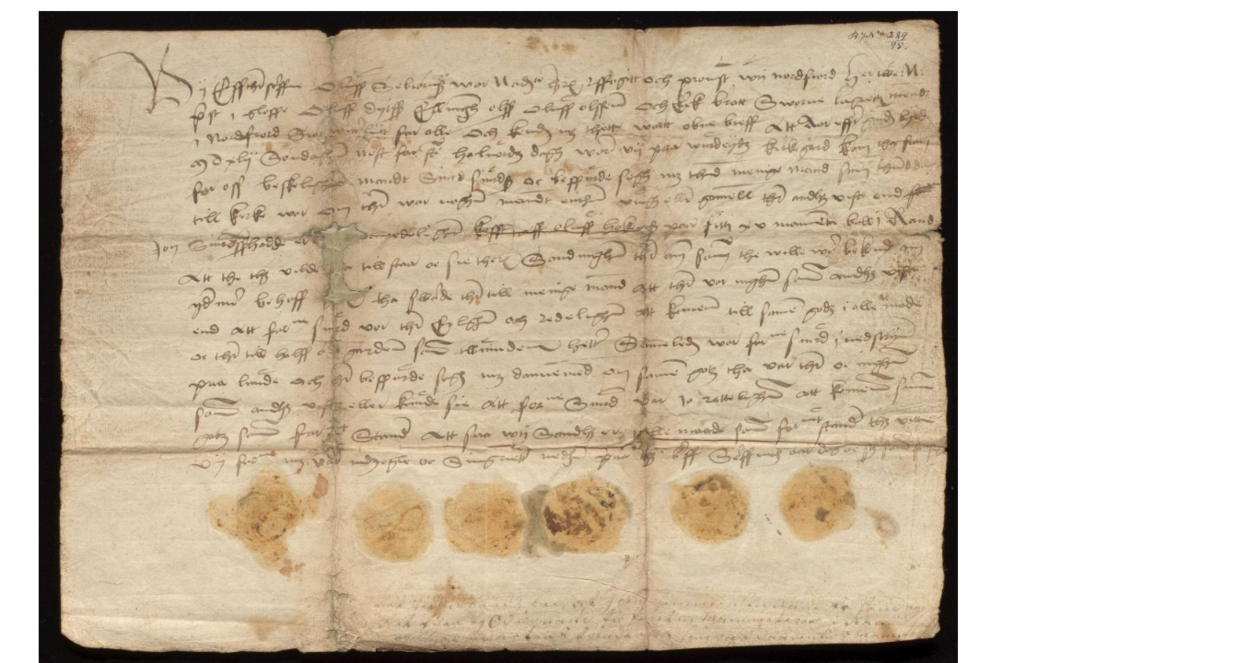 Diplom datert 1542, 14. mai. Vereide