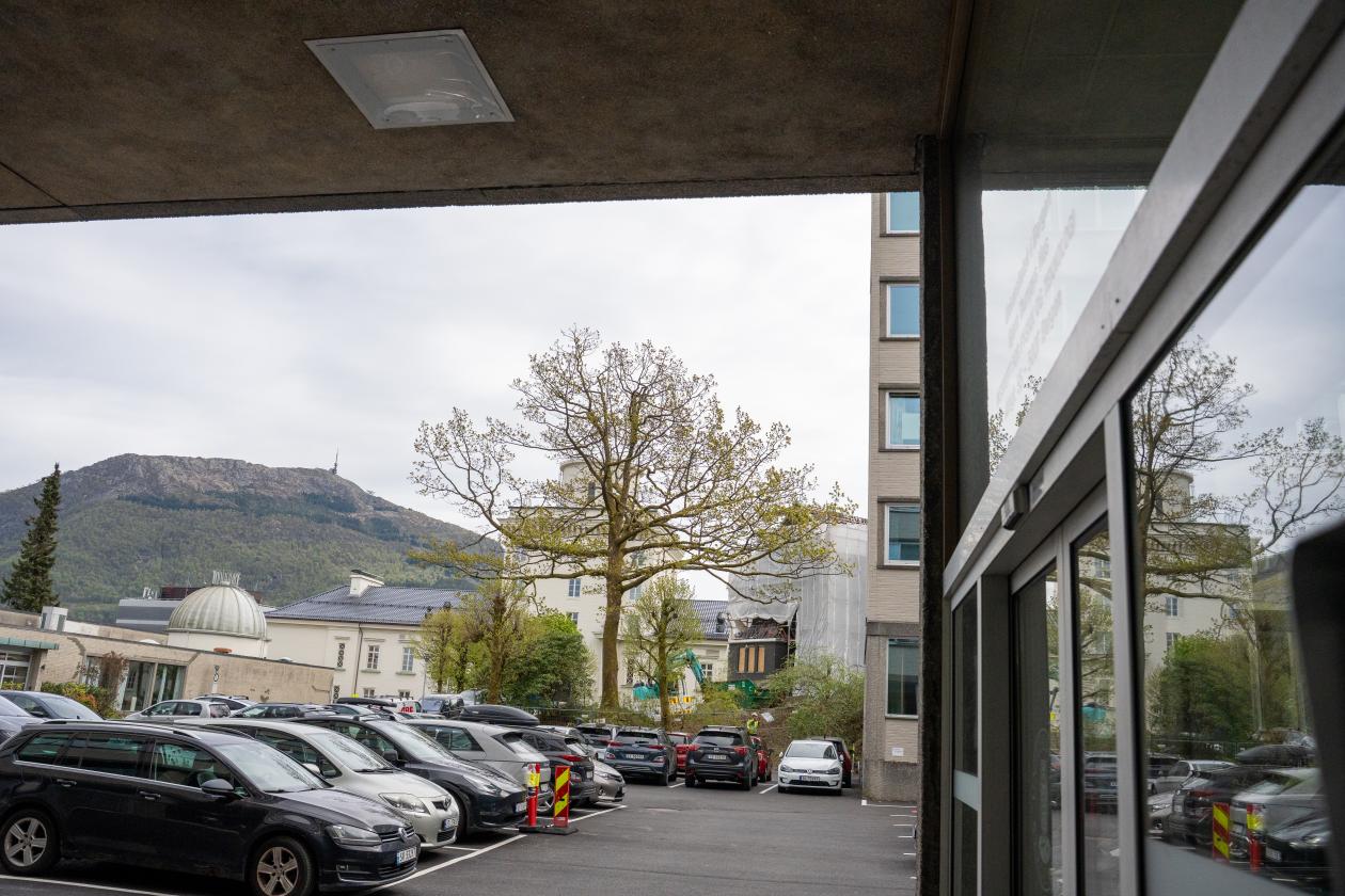 Parkeringsplass og grøntområde utenfor Fysikkbygget-