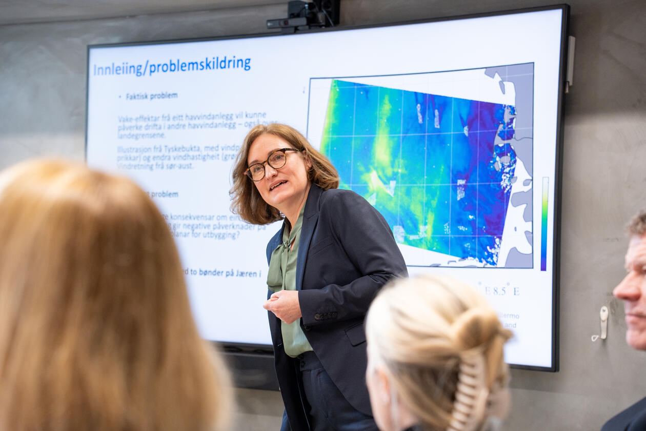 Jusprofessor Sigrid E. Schütz med presentasjon om eierskap til vinden og rettslige konsekvenser om en stat sin havvindutbygging gir negativ påvirkning på andre stater sine planer for utbygging.