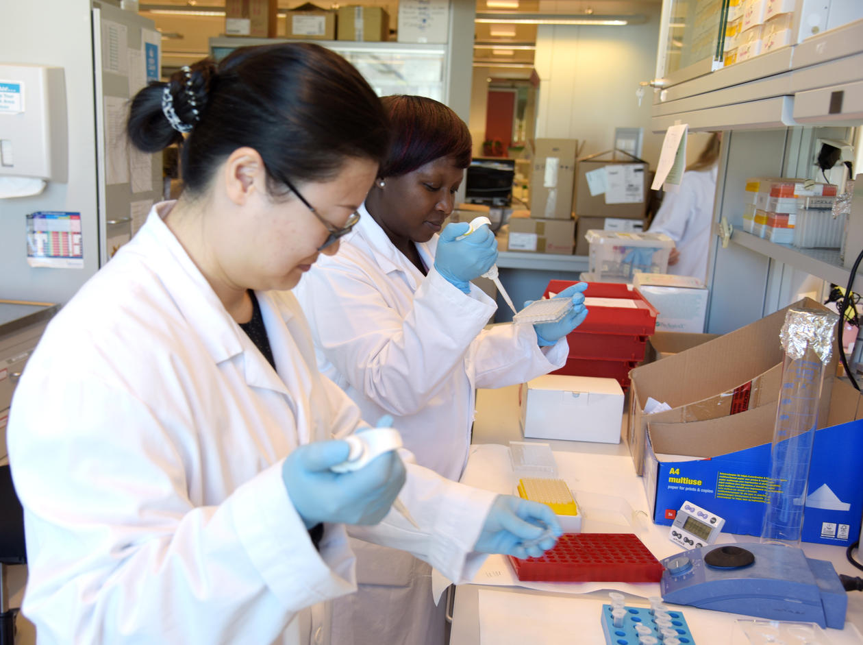 Covid-19 Research Group Bergen