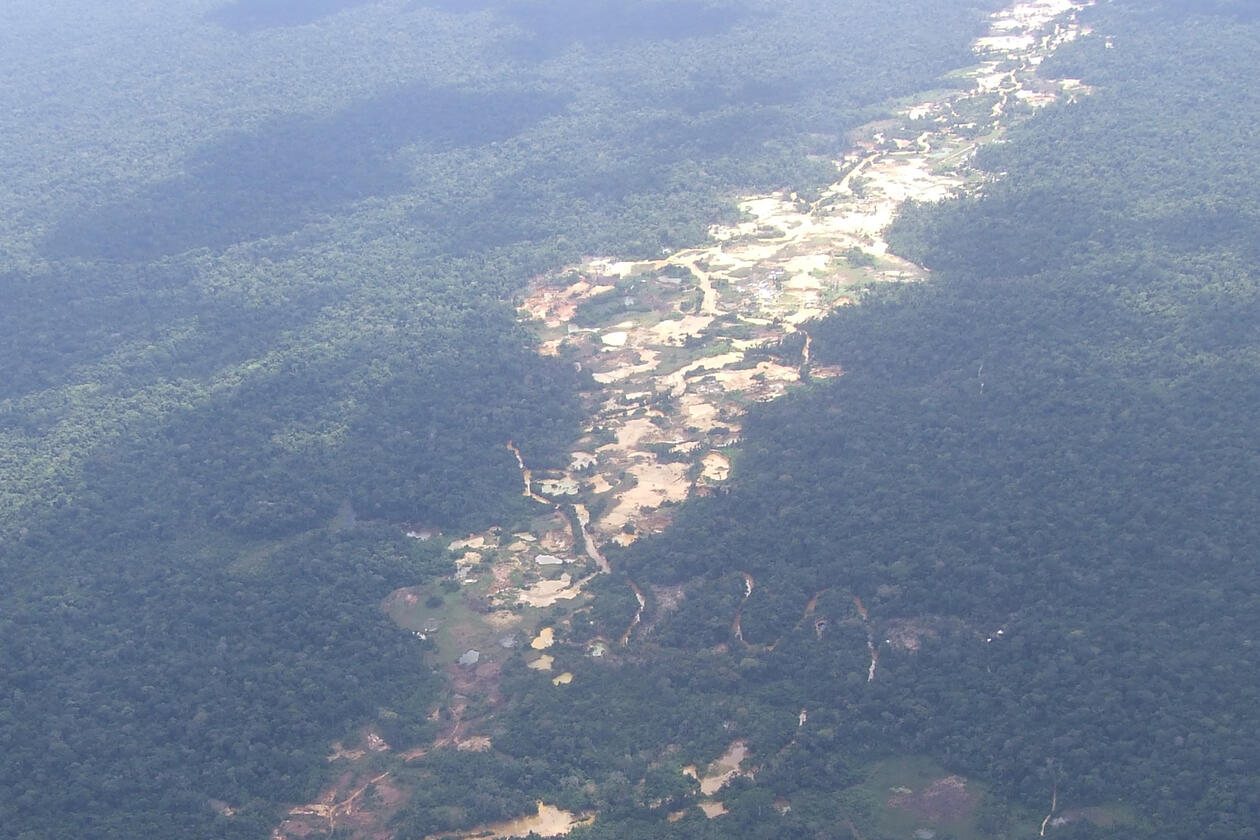 Ulovlig gruvedrift i Amazonas truer det bilogiske mangfoldet og forurenser vannet