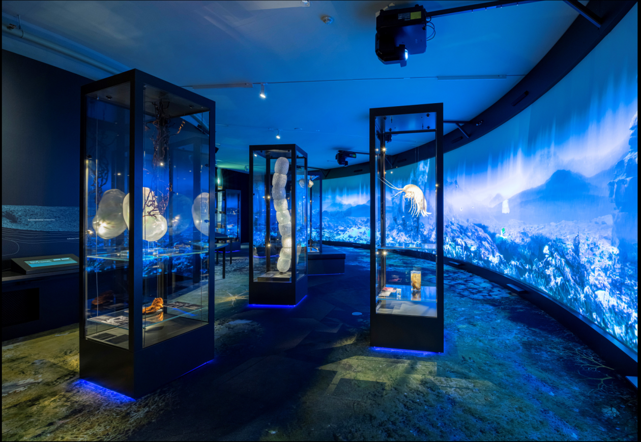 Dyphavs utstillingen på museet