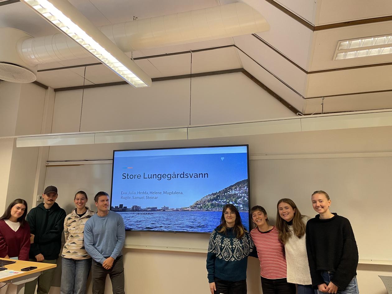 store lungegårdsvannet