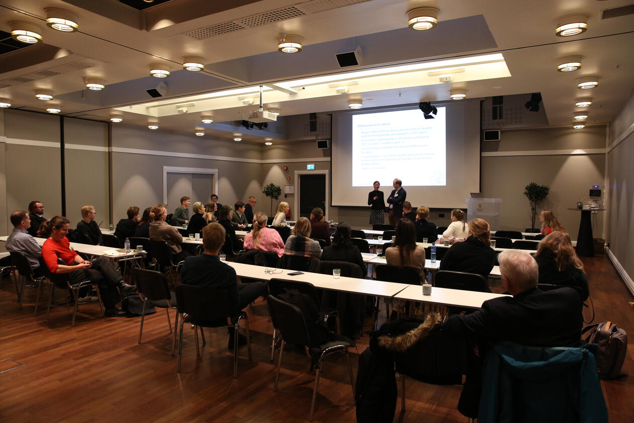 Presentasjon under workshopen