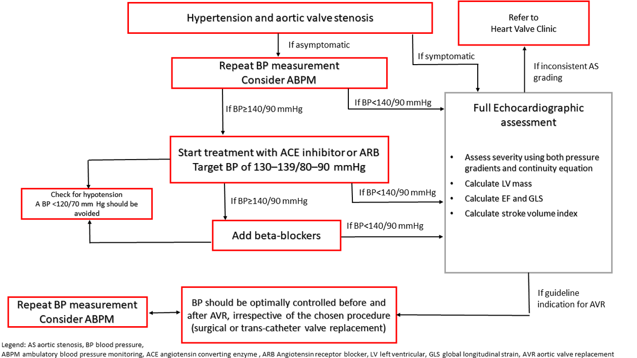 Flow chart behandling av hypertensjon ved aortastenose