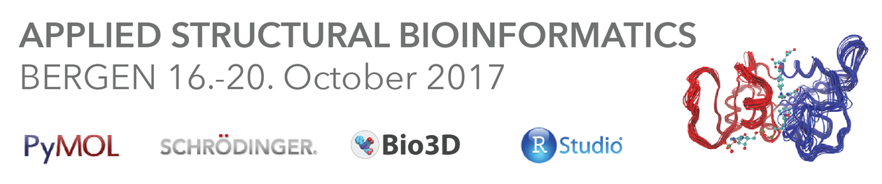 Structural Bioinformatics logo