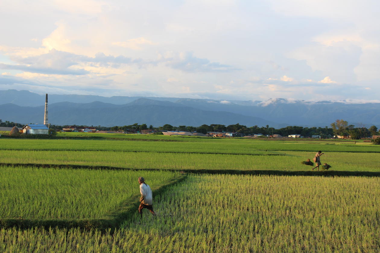 Farmers in changing climate Bangladesh