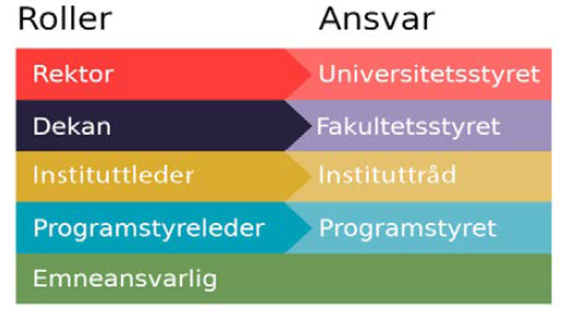 Oversikt over roller, ansvar og nivå.