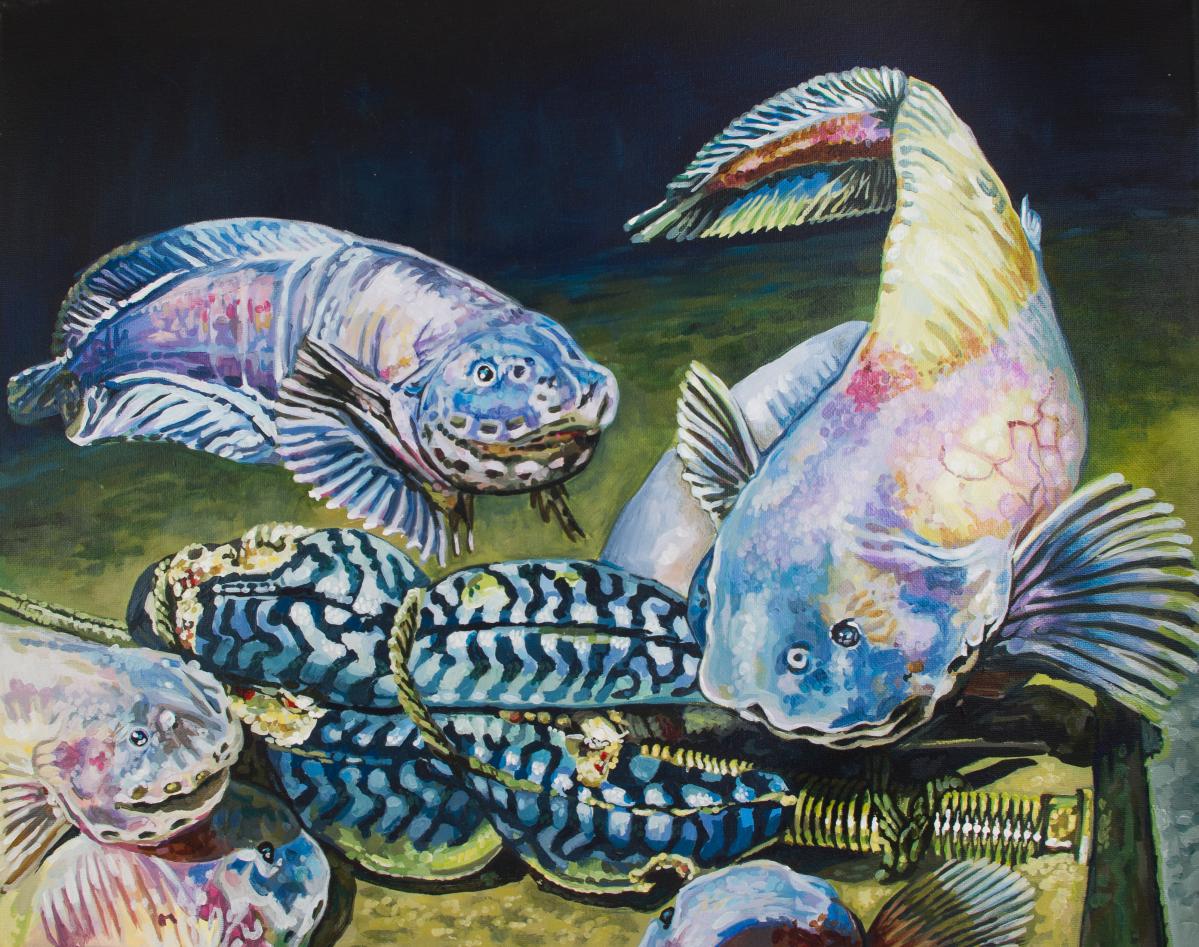 Mariana Snailfish from the children's book The Unusual Ocean: Who Lives in the Deep? which aims to raise ocean literacy awareness.