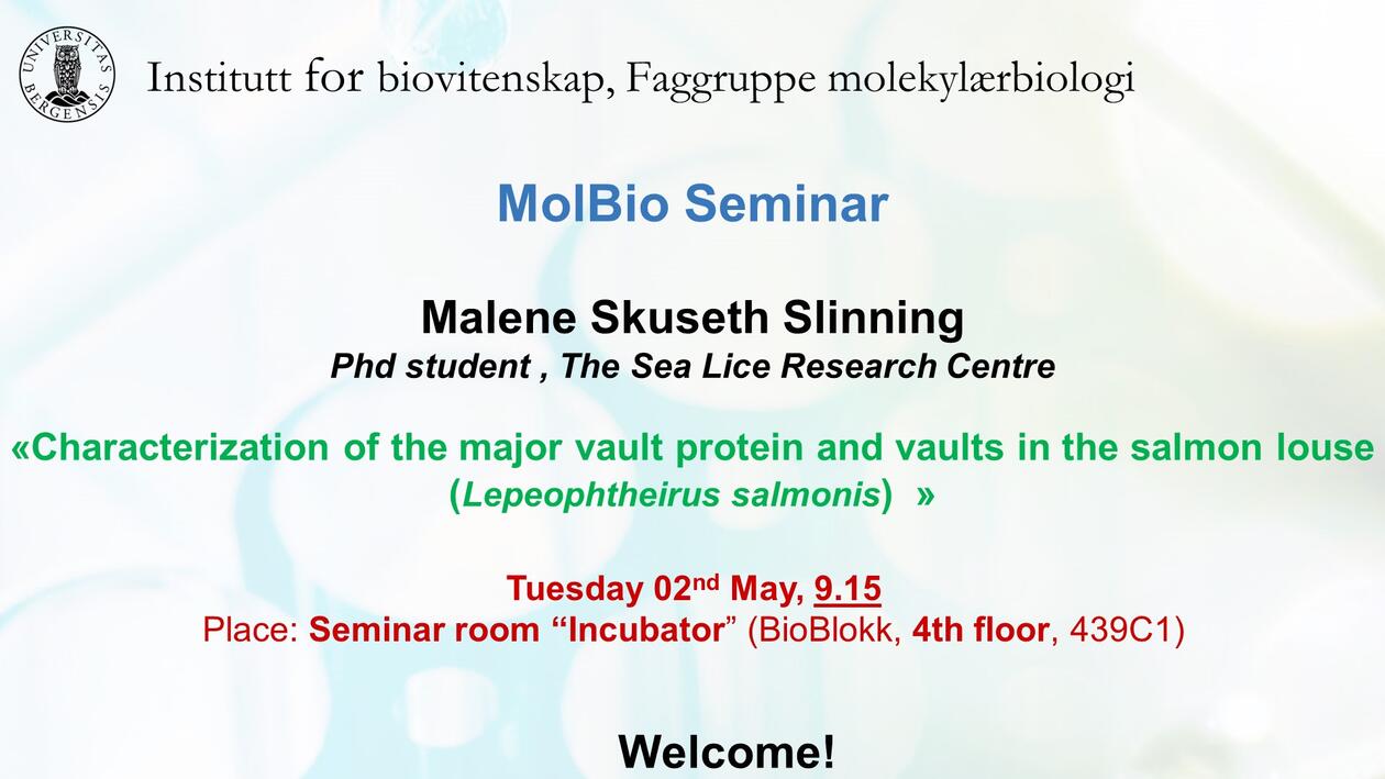 Posteroppslag om presentasjonen