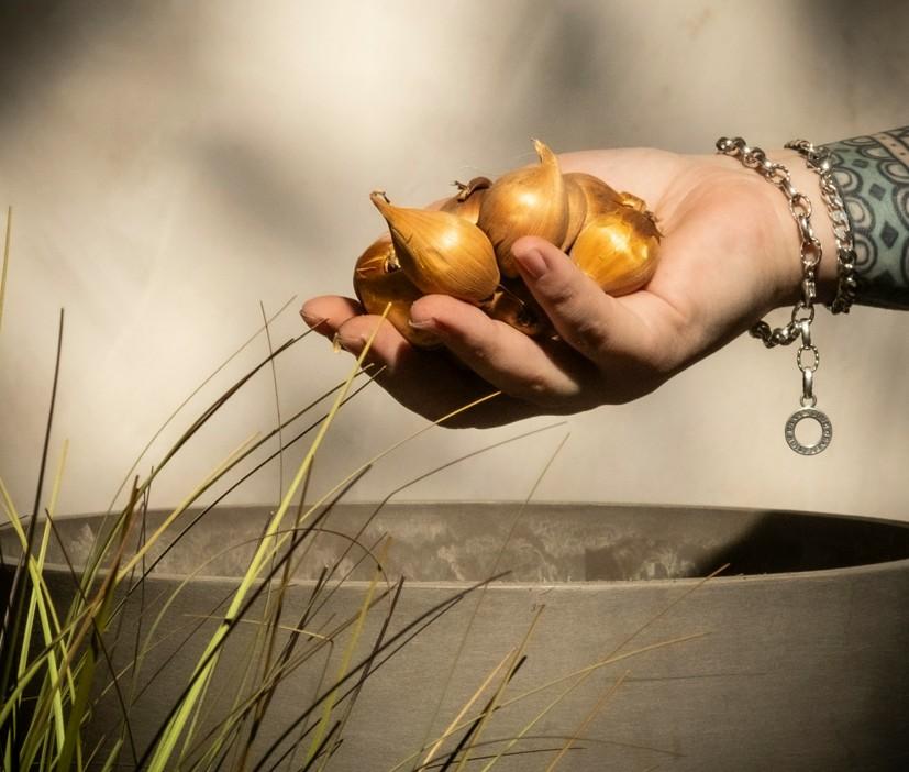 Klargjering til planting