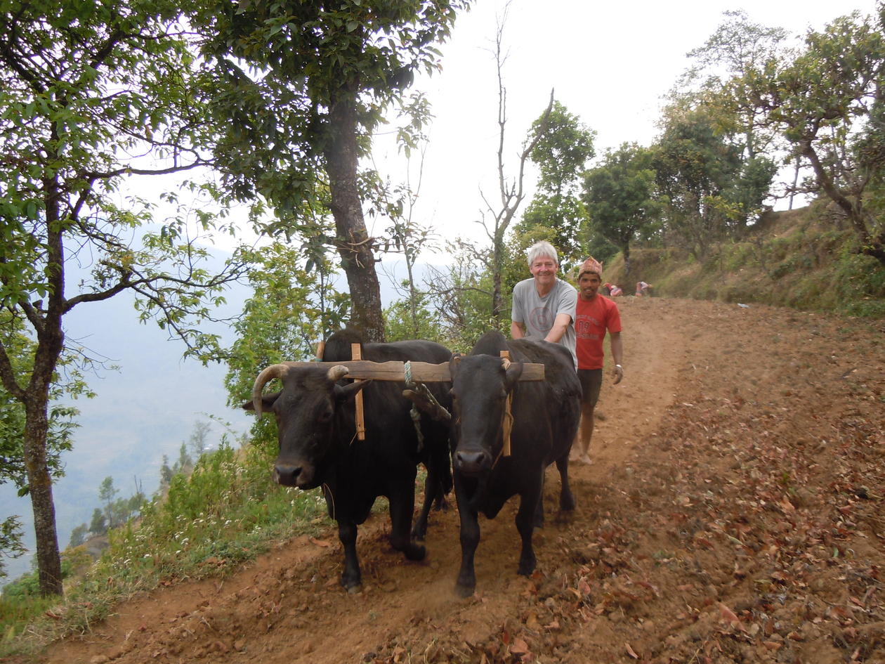 Jordbruk i Nepal.